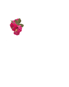 Flower Clip