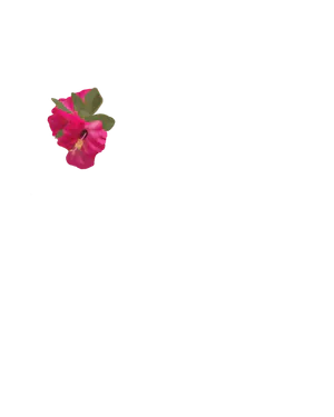 Flower Clip.png