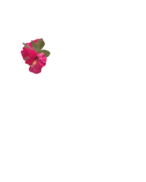 File:Flower Clip.png