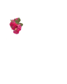 Thumbnail for version as of 00:55, 9 June 2026