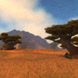 Barrens