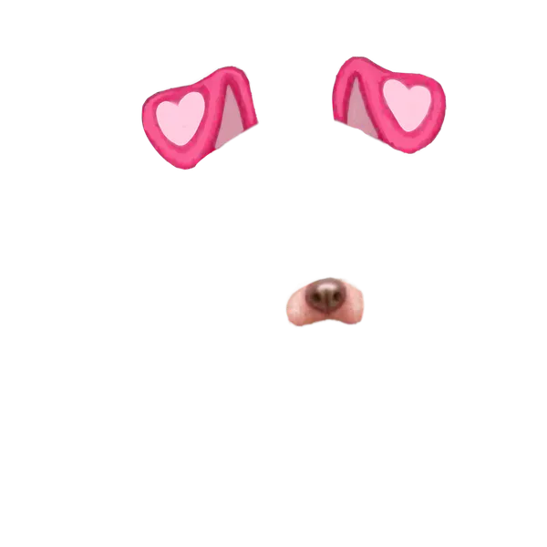 File:Puppy.png