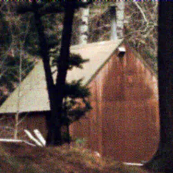 Ted Kaczynski Cabin