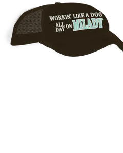 Workin Cap
