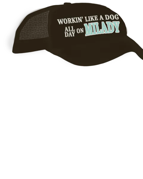 File:Workin Cap.png