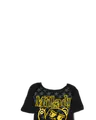 Thumbnail for version as of 23:34, 8 June 2026