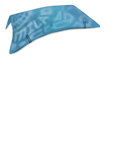 File:Bandana.png