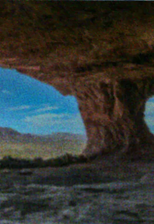 Beetleboy Pillbug Background.webp