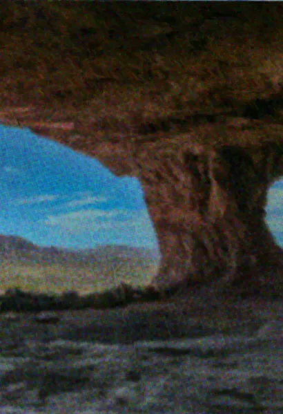 File:Beetleboy Pillbug Background.webp