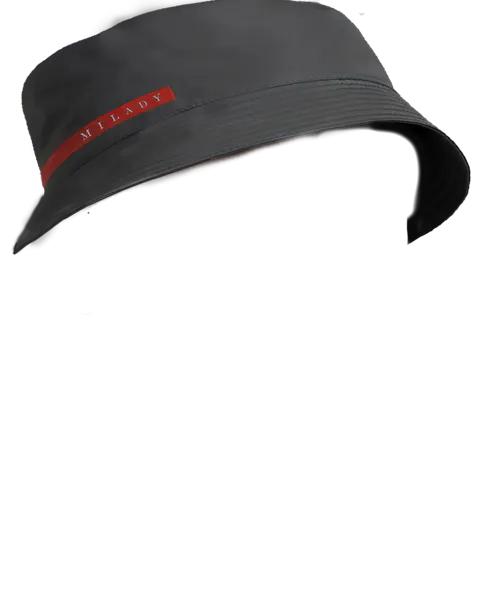 File:Buckethat.png