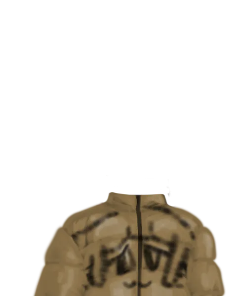 File:Gold Spray Puffer.png
