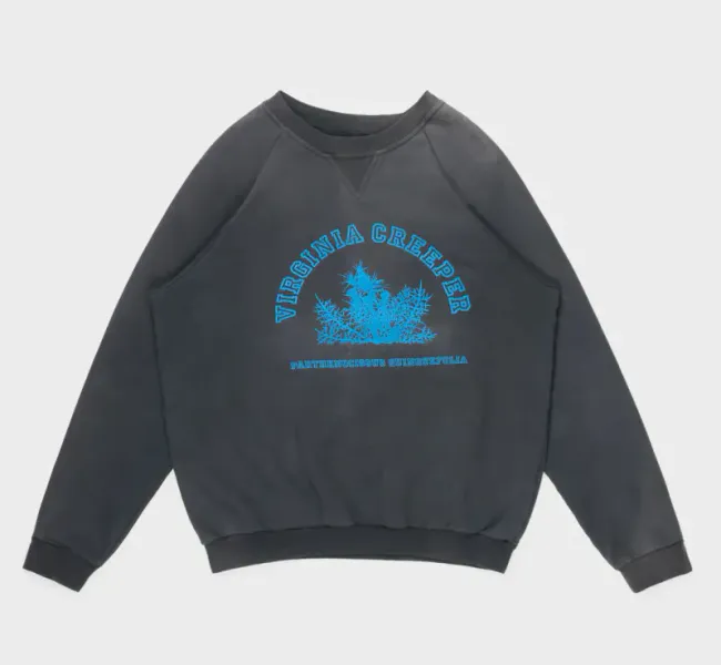 File:Raf Simons Virginia Creepers Crewneck.jpeg