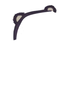 Bear Ears