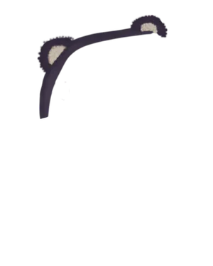 Bear Ears.png