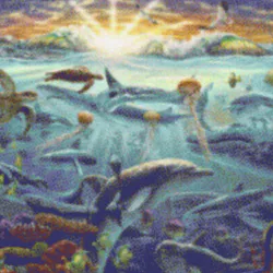 Reef