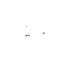 Thumbnail for version as of 19:23, 10 June 2026
