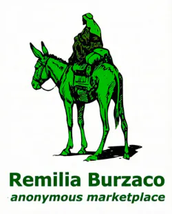 RemiliaBurzacoLogo