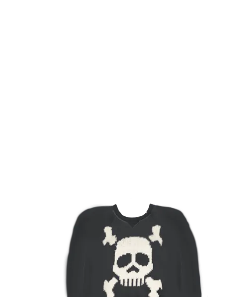 File:Skull Sweater.png