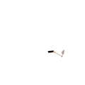 Thumbnail for version as of 18:49, 10 June 2026