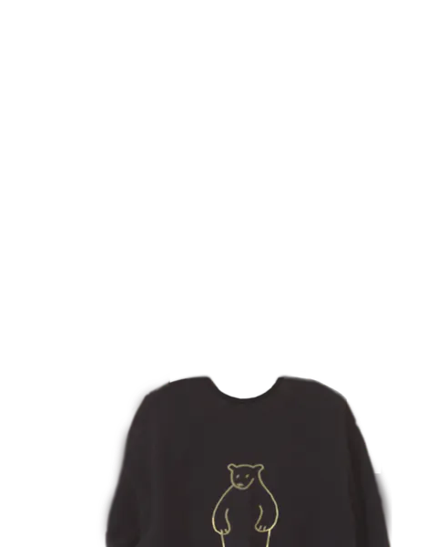 File:Bear Sweater.png