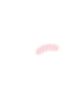 Line Blush (Milady face)