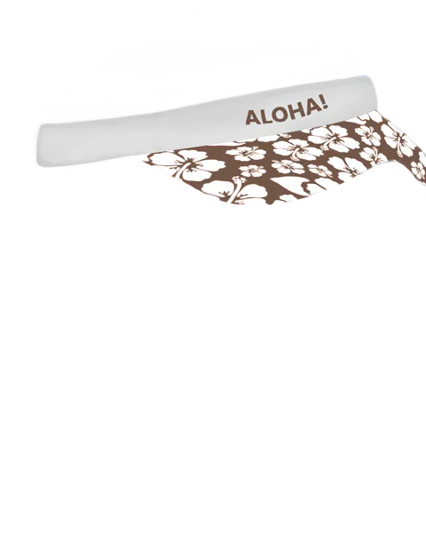 File:Aloha Visor.png