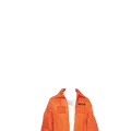 Thumbnail for version as of 19:09, 10 June 2026
