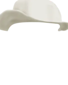 White Cowboy Hat