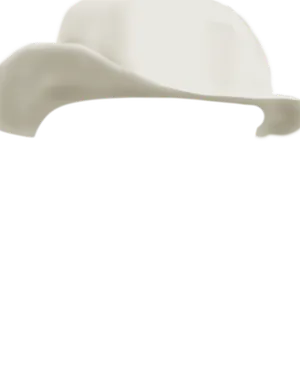 White Cowboy Hat.png