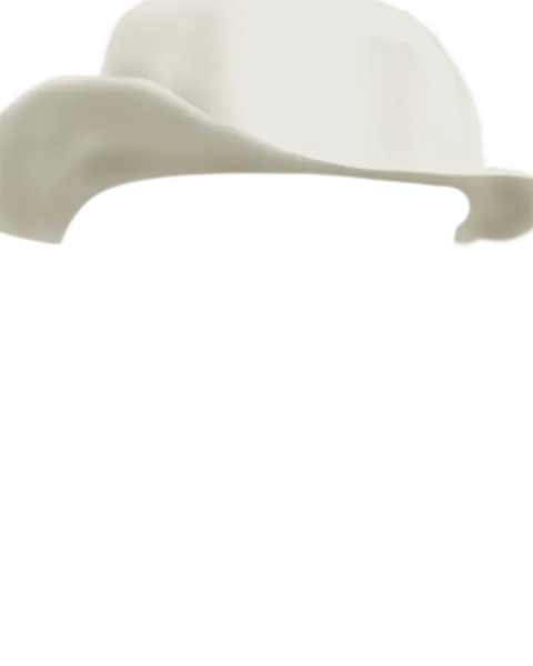 File:White Cowboy Hat.png