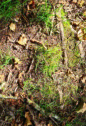 Beetleboy Junk Background.webp