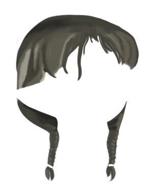 Braid Brown.png