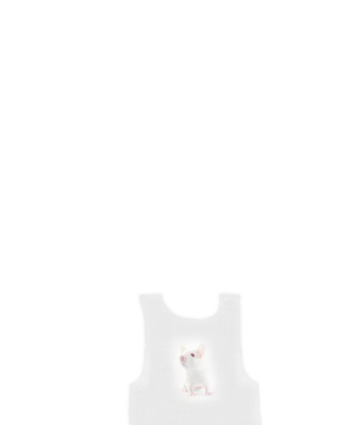 File:Mouse Tank.png