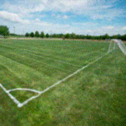 Soccer Field