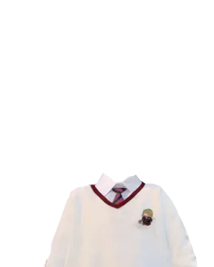 Sweater and Tie.png