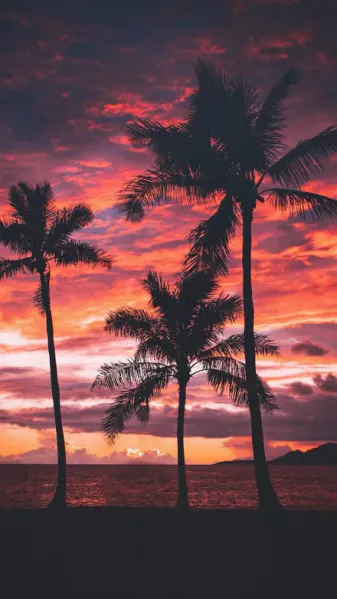 File:Hawaii Sunset.jpeg
