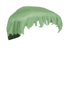 Short Green