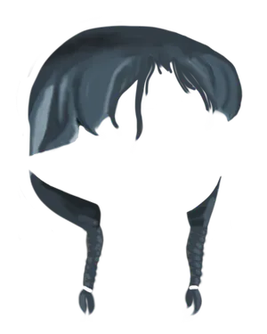 Braid Blue.png