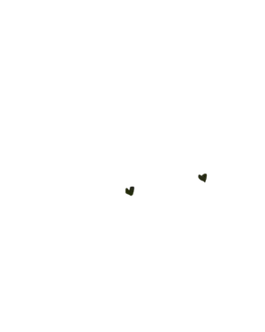 Black Hearts Tattoo.png