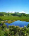Thumbnail for version as of 00:34, 9 June 2026