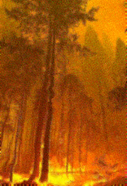 File:Beetleboy Bombardier Background.webp