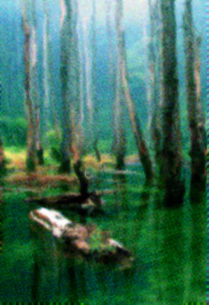 Beetleboy Pond Background.webp