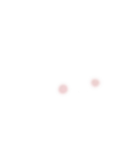Blush (Milady face)