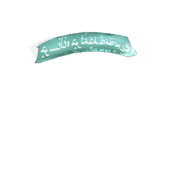 File:Surfy Hat.png