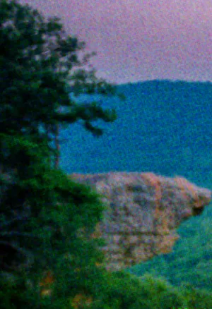 Beetleboy Marigold Background.webp