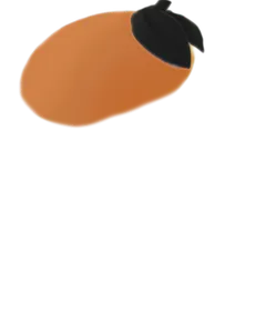 Orange Beret