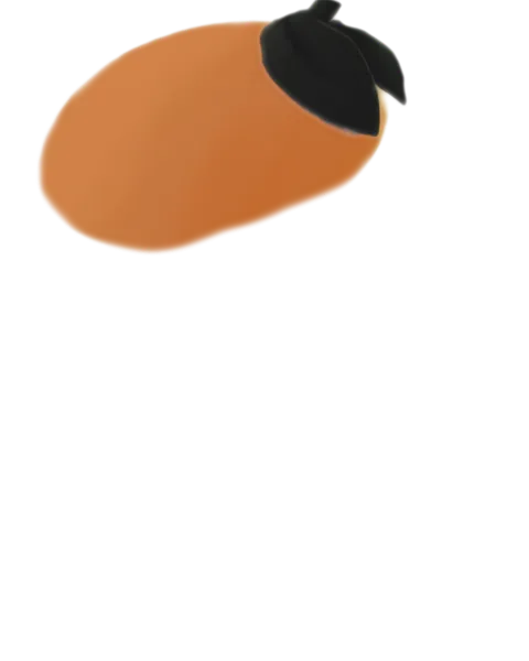 File:Orange Beret.png