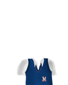Blue Sweatervest