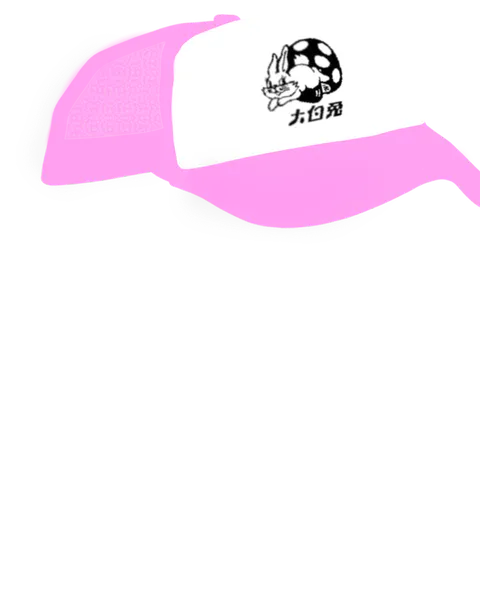 File:Trucker White Rabbit.png