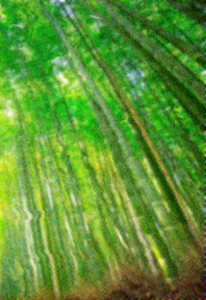 Beetleboy Goliath Background.webp